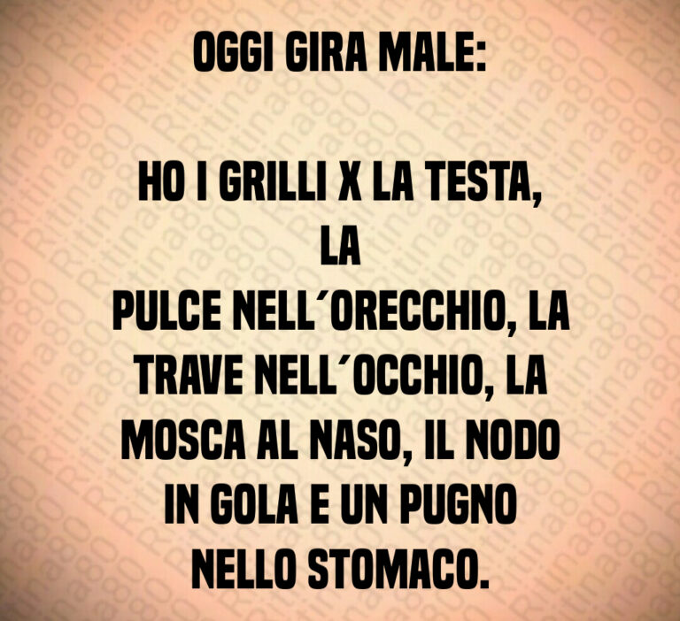 Oggi gira male 

Ho i grilli x la testa  la
pulce nell orecchio  la
trave nell occhio  la
mosca al naso  il nodo
in gola e un pugno
nello stomaco