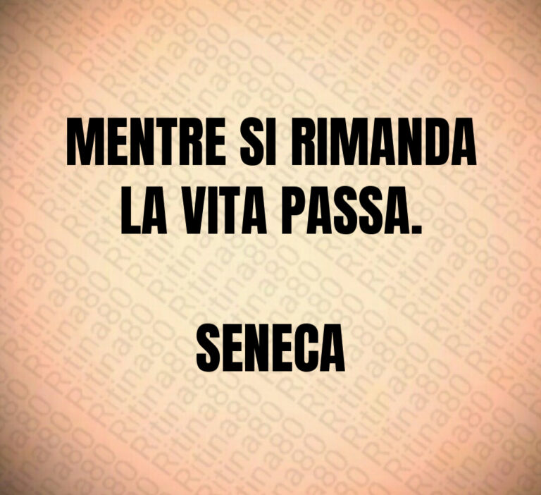 MENTRE SI RIMANDA
LA VITA PASSA 

SENECA