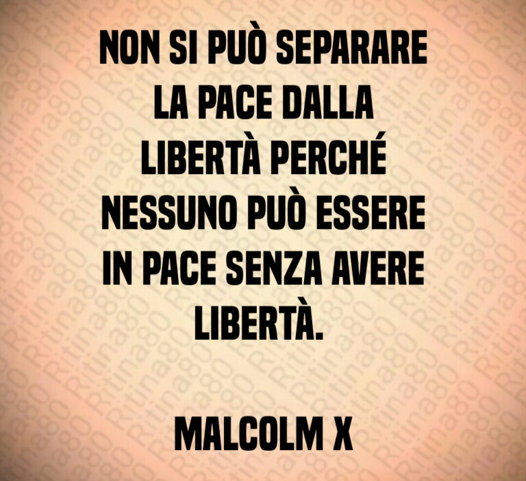 Non si può separare
la pace dalla
libertà perché
nessuno può essere
in pace senza avere
libertà  

Malcolm X