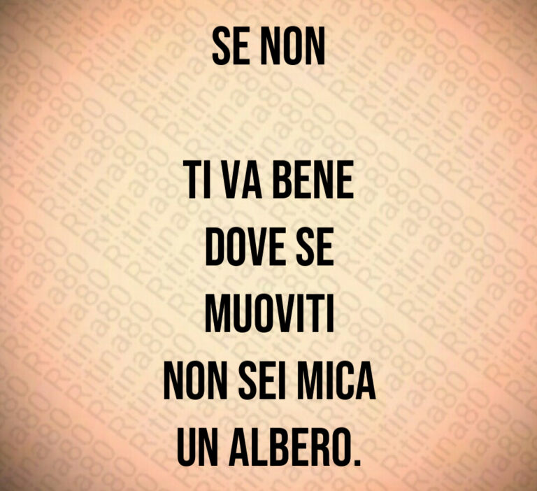 SE NON

Ti VA BENE
DOVE SE
MUOVITI
NON SEI MICA
UN ALBERO