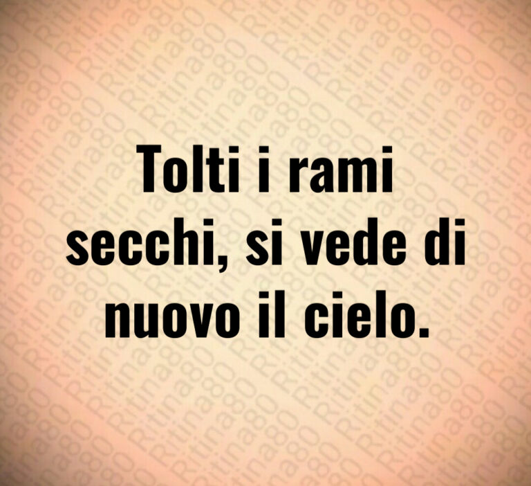 Tolti i rami
secchi  si vede di
nuovo il cielo