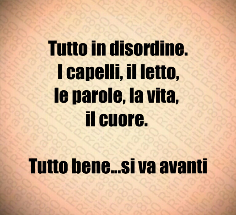 Tutto in disordine 
I capelli  il letto 
le parole  la vita  
il cuore  

Tutto bene   si va avanti