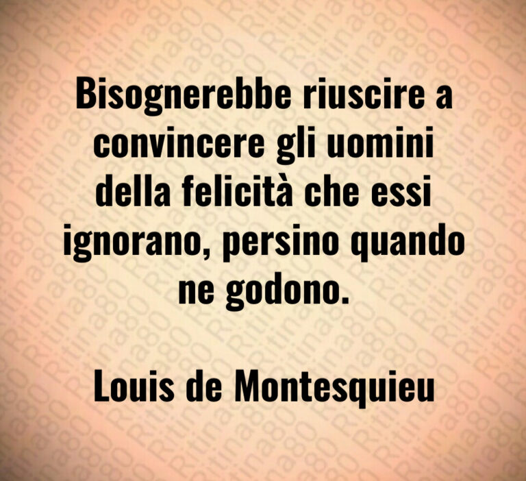 Bisognerebbe riuscire a convincere gli uomini della felicità che essi ignorano  persino quando ne godono 

Louis de Montesquieu